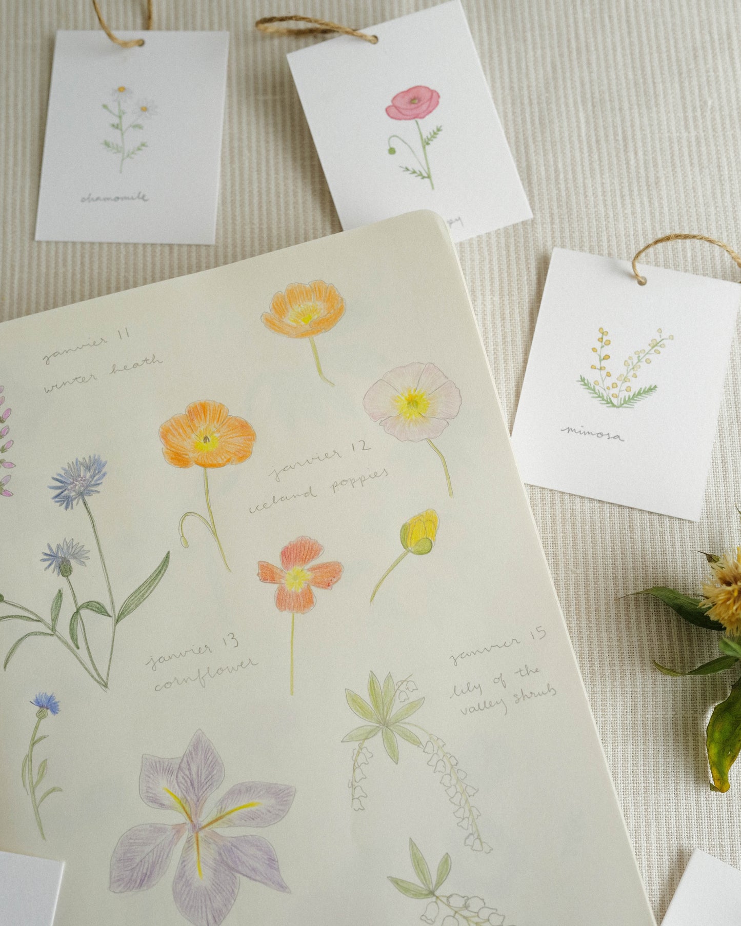 Flora and Fauna Mini Wall Hanging: Mimosa