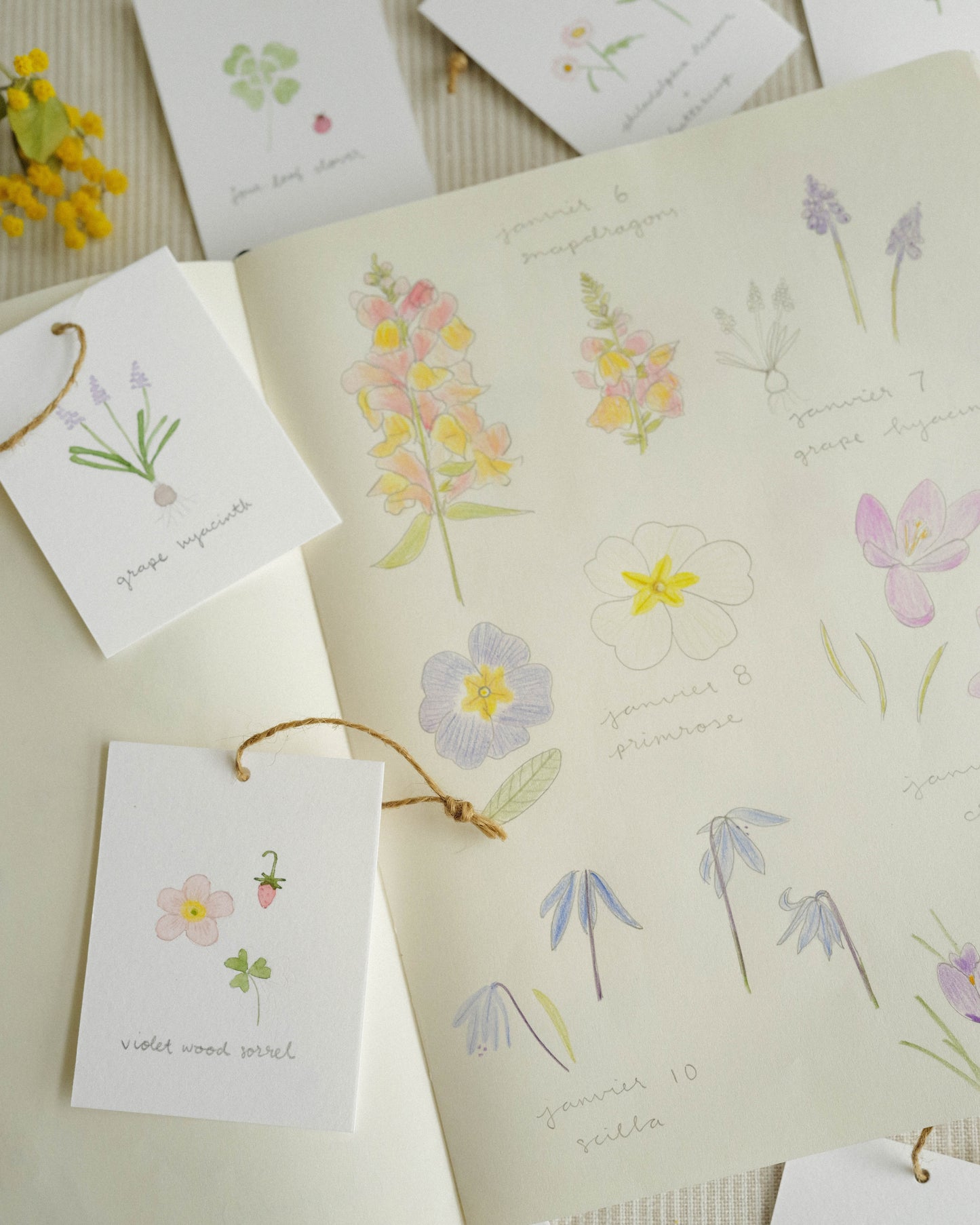 Flora and Fauna Mini Wall Hanging: Violet Wood Sorrel