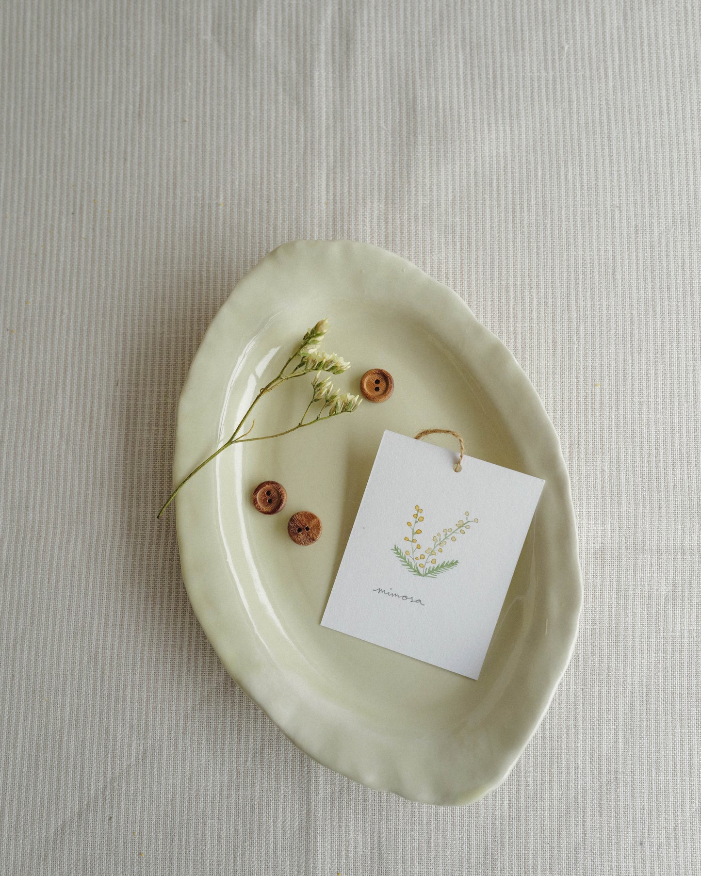Flora and Fauna Mini Wall Hanging: Mimosa