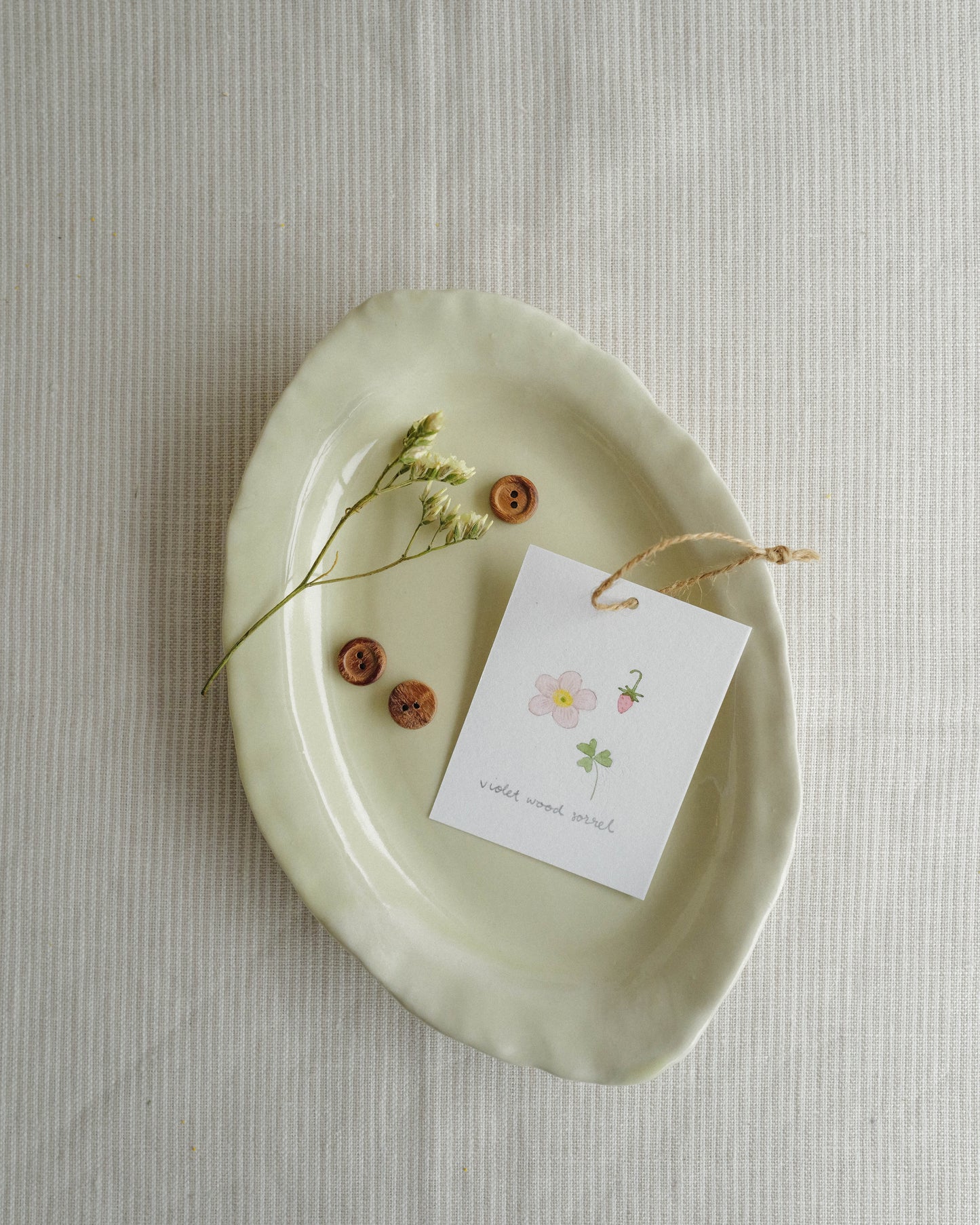 Flora and Fauna Mini Wall Hanging: Violet Wood Sorrel