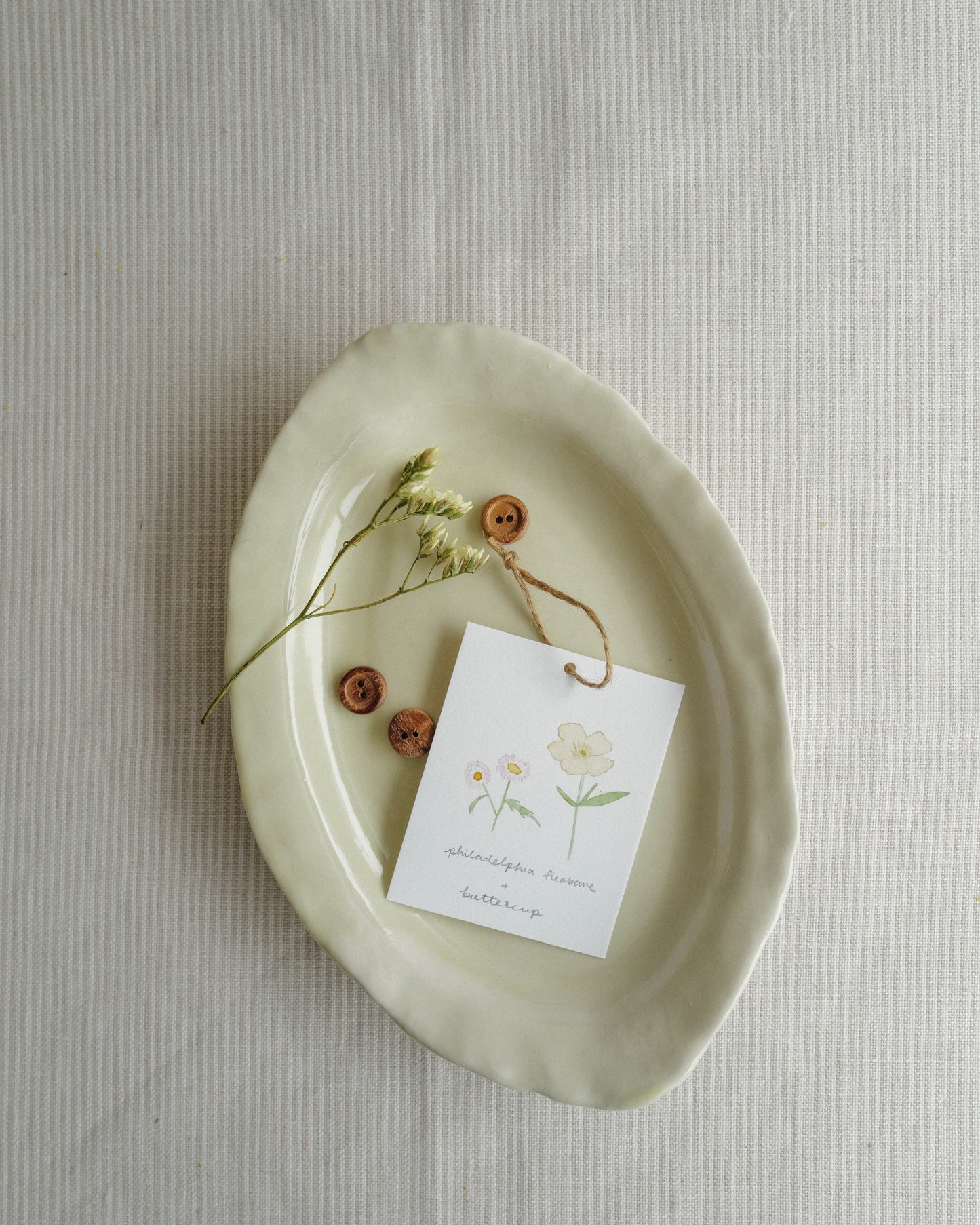 Flora and Fauna Mini Wall Hanging: Philadelphia Fleabane & Buttercup