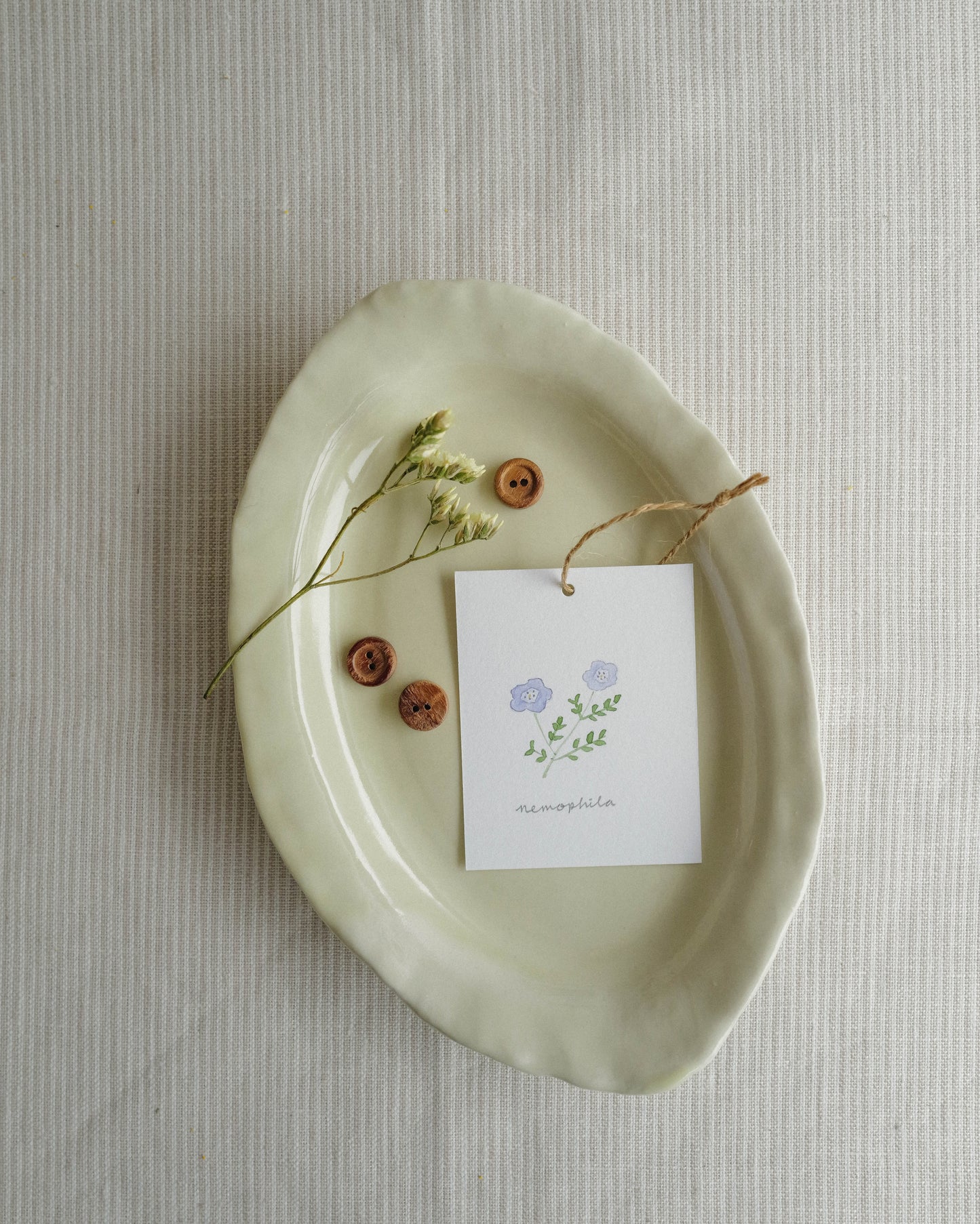 Flora and Fauna Mini Wall Hanging: Nemophila